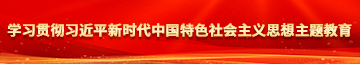 草逼视频女学习贯彻习近平新时代中国特色社会主义思想主题教育